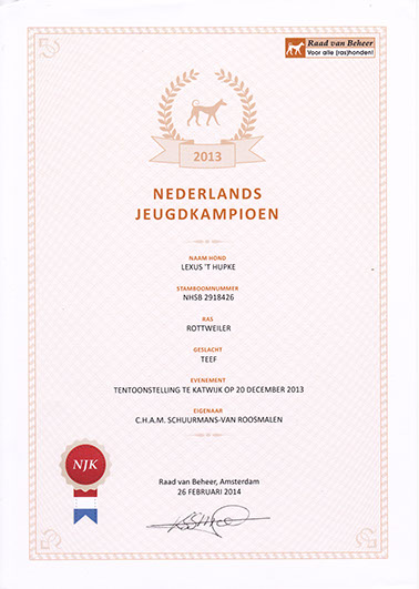 Certificaat Lexus Nederlands Jeugd Kampioen